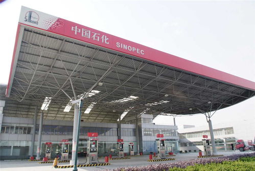 【空间网架钢结构网架加工基地网架支座收费站网架制作】- 